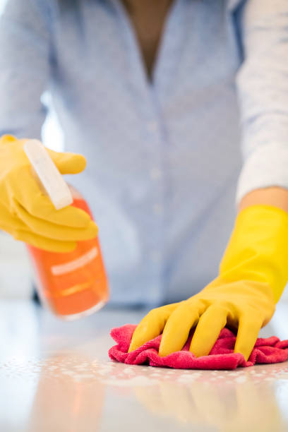Close Up Of Woman Using Spray Polish To Clean Kitchen Surface img-17